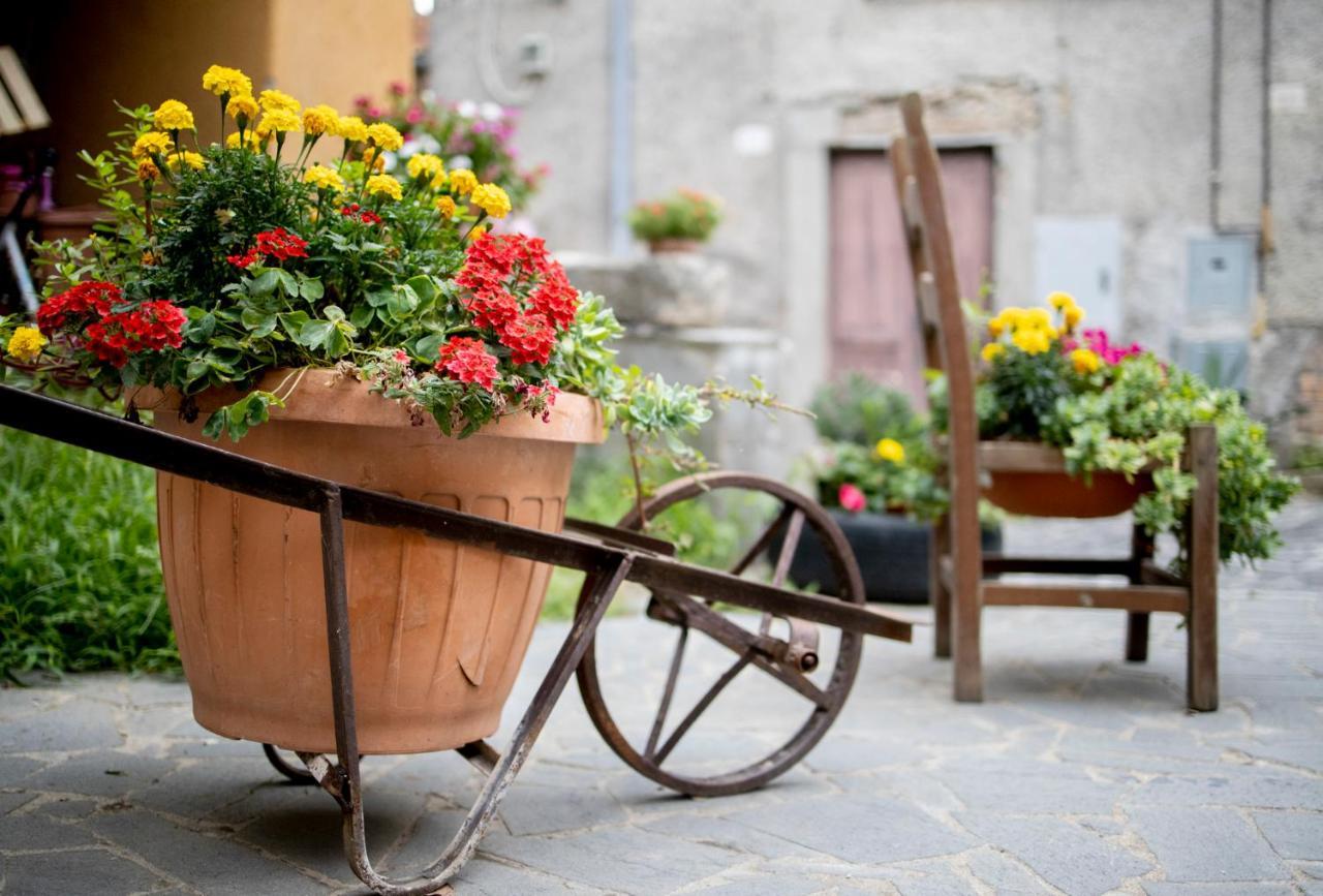 Hotel Dimora Turistica De' Piazza Roccalvecce Zewnętrze zdjęcie